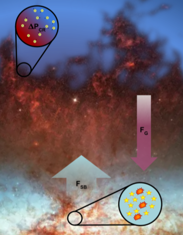 Schematic of galactic outflows and CR halos